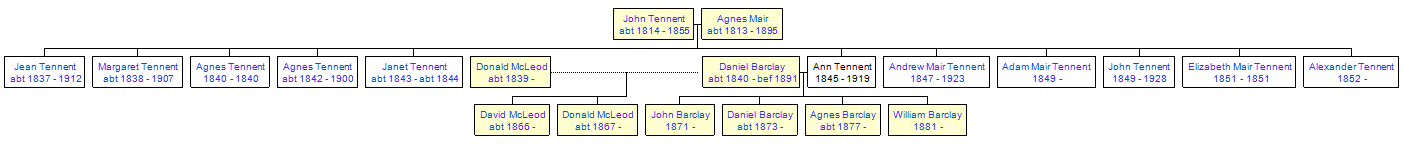 Mini tree diagram